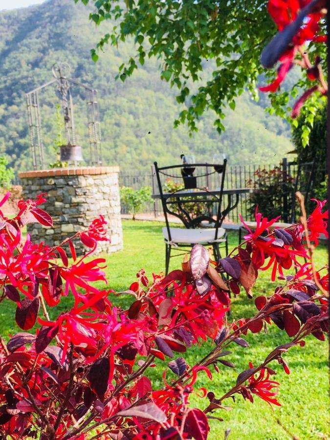 Green House Pieve di Teco Exterior photo